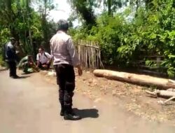 Babinsa Koramil Sukosari Dampingi Pengukuran Tanah di Wilayah Binaan