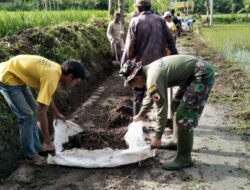Babinsa Tlogosari Berjibaku bersama Masyarakat Bersihkan Parit