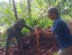 Babinsa Posramil Binakal Bondowoso Bersama Warga Laksanakan Karya Bakti Pelebaran Jalan