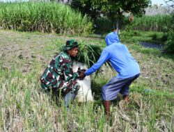 Canda Tawa Satgas TMMD 116 Bondowoso Dengan Masyarakat
