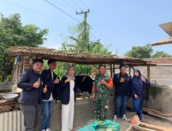 Mahasiswa Unej Kunjungi Peternakan Sapi Perah Milik Babinsa Kodim Bondowoso