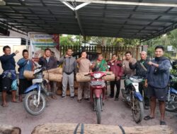 Polres Bondowoso beserta Polsek dan perhutani berhasil amankan pelaku tindak pidana ilegal logging