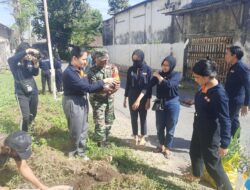 Peduli Lingkungan, Babinsa Koramil Wonosari Motori Penghijauan Sepanjang Jalan