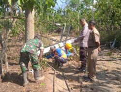 Babinsa Kopka Ringgo Bantu Evakuasi Tiang Listrik Tumbang, Akibat Angin Kencang