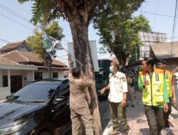 Sebanyak 67 Bendera Parpol Ditertibkan Satpol PP Bondowoso