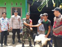 Babinsa Sertu Mulyono Dampingi Penyaluran Bantuan Ternak Kambing