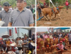 Berharap Datangnya Hujan Pemdes Klabang Adakan Karapan Sapi dan Pelepasan 1000 Burung Merpati