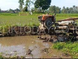 Koramil 0822/04 Tenggarang Melalui Babinsa Gebang, Bantu Petani Turun Ke Sawah