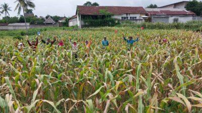 Koramil 0822/07 maesan