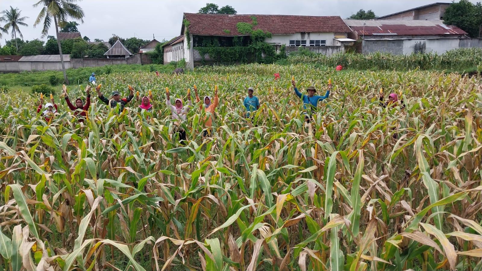 Koramil 0822/07 maesan