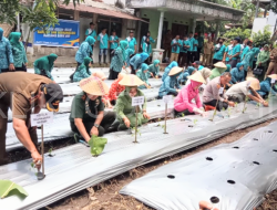 Tim Penggerak PKK Canangkan Gas Tancap demi Stabilisasi Harga Cabai