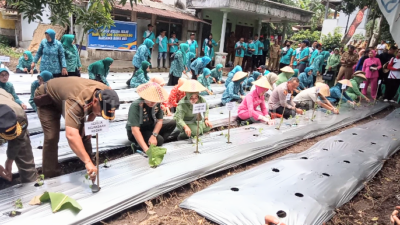 Tim Penggerak PKK Canangkan Gas Tancap demi Stabilisasi Harga Cabai