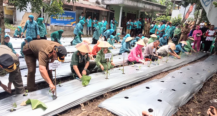 Tim penggarak pkk bondowoso