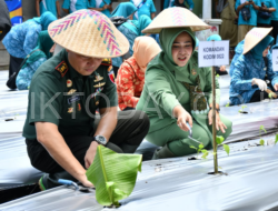 Komandan Kodim 0822 Bondowoso Hadiri Kegiatan Gerakan Tanam CABAI Serentak di Daerah Kecamatan Wonosari
