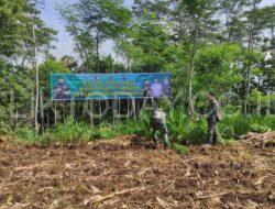 Sukseskan Program Hanpangan, Kodim 0822 Bondowoso Siapkan Lahan 1 Hektar