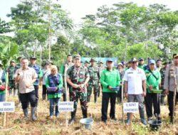 Guna Meningkatkan Kesejahteraan Masyarakat TNI juga Forkopimda ajak Warga Tanam Jagung