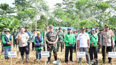 Guna Meningkatkan Kesejahteraan Masyarakat TNI juga Forkopimda ajak Warga Tanam Jagung