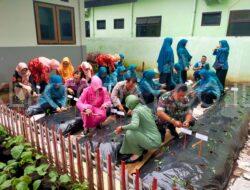 Ajak Warga Sekitar, Danposramil Botolinggo Tanam Cabe di Lahan Kosong juga Pekarangan