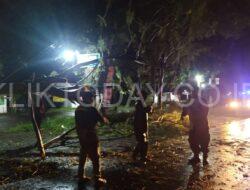 Gerak Cepat Babinsa 0822 15 Klabang Evaluasi Pohon Tumbang