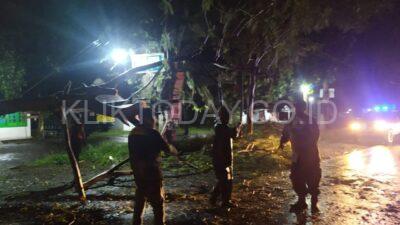 Gerak Cepat Babinsa 0822 15 Klabang Evaluasi Pohon Tumbang