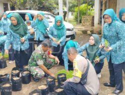 Babinsa 0822 11 Bondowoso, dampingi gerakan tanam cabai serentak