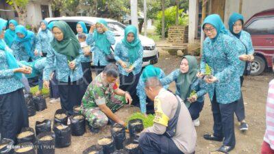 Babinsa 0822 11 Bondowoso, dampingi gerakan tanam cabai serentak