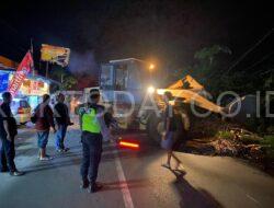 Polsek Prajekan Gerak Cepat Tangani Pohon Tumbang yang Menutupi Akses Jalan