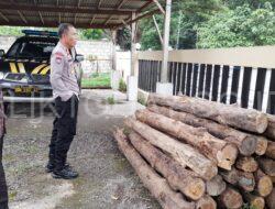 Polsek Klabang Amankan Puluhan Log Kayu Jati Hasil Ilegal Logging