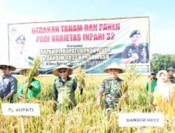 Gerakan Tanam dan Panen Padi Varietas Inpari Serentak di Desa Bataan Tenggarang Bondowoso