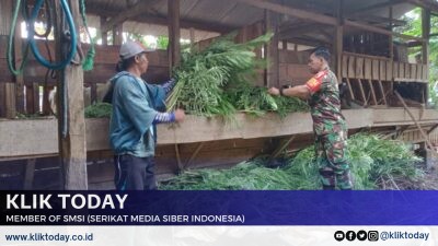 Dengan Komsos, Babinsa Mengok Motivasi kepada Peternak Kambing Etawa