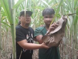 Polres Mojokerto Kota Berhasil Amankan Seorang Remaja Terduga Jambret di Dawarblandong