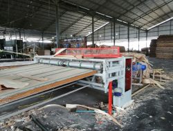 DPR RI minta BUMN Perkebunan bantu bahan baku industri plywood