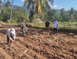 Babinsa Bersama Warga Sukseskan Program Ketahanan Pangan di Wonosari