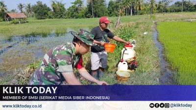 Babinsa Koramil 0822/01 bantu Penyemprotan Herbisida, Gulma