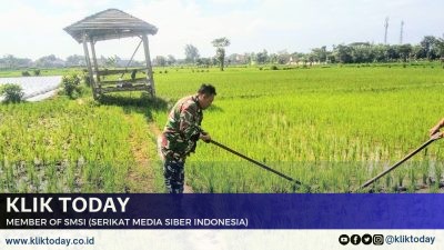 Babinsa Desa Pejaten Terjun ke Sawah, Bantu Petani Tingkatkan Ketahanan Pangan