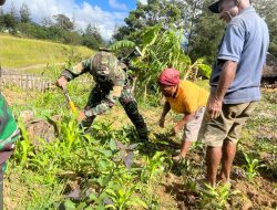 Galakkan Ketahanan Pangan, Satgas 323 Buaya Putih Bagikan Bibit Sayur