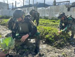 Prajurit Linud 432/WSJ Ubah Lahan Tidur jadi Kebun Sayur yang Subur