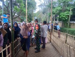 Demi Ketertiban, Babinsa Koramil 0822/08 Grujugan Pantau Penyembelihan Hewan Kurban