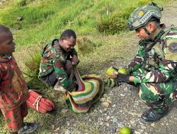 Satgas Yonif 509 Kostrad Rutin Laksanakan Rosita: Kurangi Beban Pedagang dan Bantu Kebutuhan Prajurit