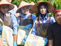 Arokat Petik Kopi, Begini Pesan Pentingnya Pj Bupati Bondowoso Tentang BRK