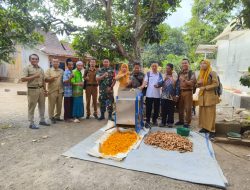 Babinsa Koramil 0822/16 Cermee Pendampingan Bantuan Alat Mesin Produksi Berbahan Dasar Kunyit