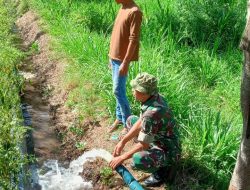 Pendampingan Pompanisasi Babinsa Kodim 0822/Koramil 08 Bondowoso kepada Petani Binaan