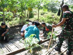 Anggota Koramil Wringin bersama Warga Kampung Pancasila Lakukan Perawatan Tanaman (TOGA)