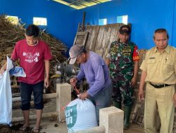 Pendampingan Pembuatan Pupuk Organik oleh Babinsa Kodim 0822/14 Botolinggo, Hindari Pemakaian Pupuk Kimia