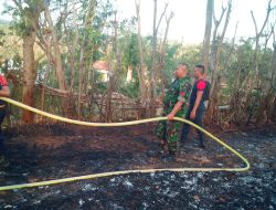 Sigap, Babinsa Koramil 0822-05 Bondowoso Bantu Padamkan Kebakaran Hutan Jati