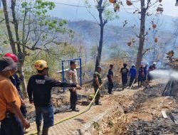 Aksi Sigap Babinsa 0822 dan Damkar Dalam Kebakaran Hutan Jati di Arak-Arak Bondowoso