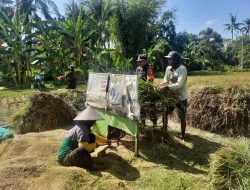Kolaborasi TNI dan Petani Demi Wujudkan Ketahanan Pangan di Desa Gayam Lor