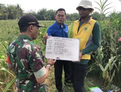 Babinsa Dampingi Survei Geolistrik, Pastikan Ketersediaan Air untuk Pertanian