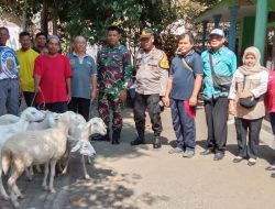Babinsa Kawal Penyaluran Bantuan Sosial Ternak di Desa Jumpong