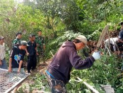 Dandim 0422/LB Laksanakan Evaluasi Kegiatan Satgas Gabungan Penanggulangan Konflik Manusia dengan satwa liar Jenis Harimau Sumatra